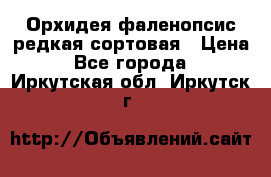 Орхидея фаленопсис редкая сортовая › Цена ­ 800 - Все города  »    . Иркутская обл.,Иркутск г.